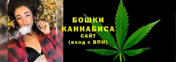 ГАЛЛЮЦИНОГЕННЫЕ ГРИБЫ Майский