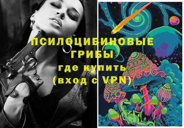ГАЛЛЮЦИНОГЕННЫЕ ГРИБЫ Майский
